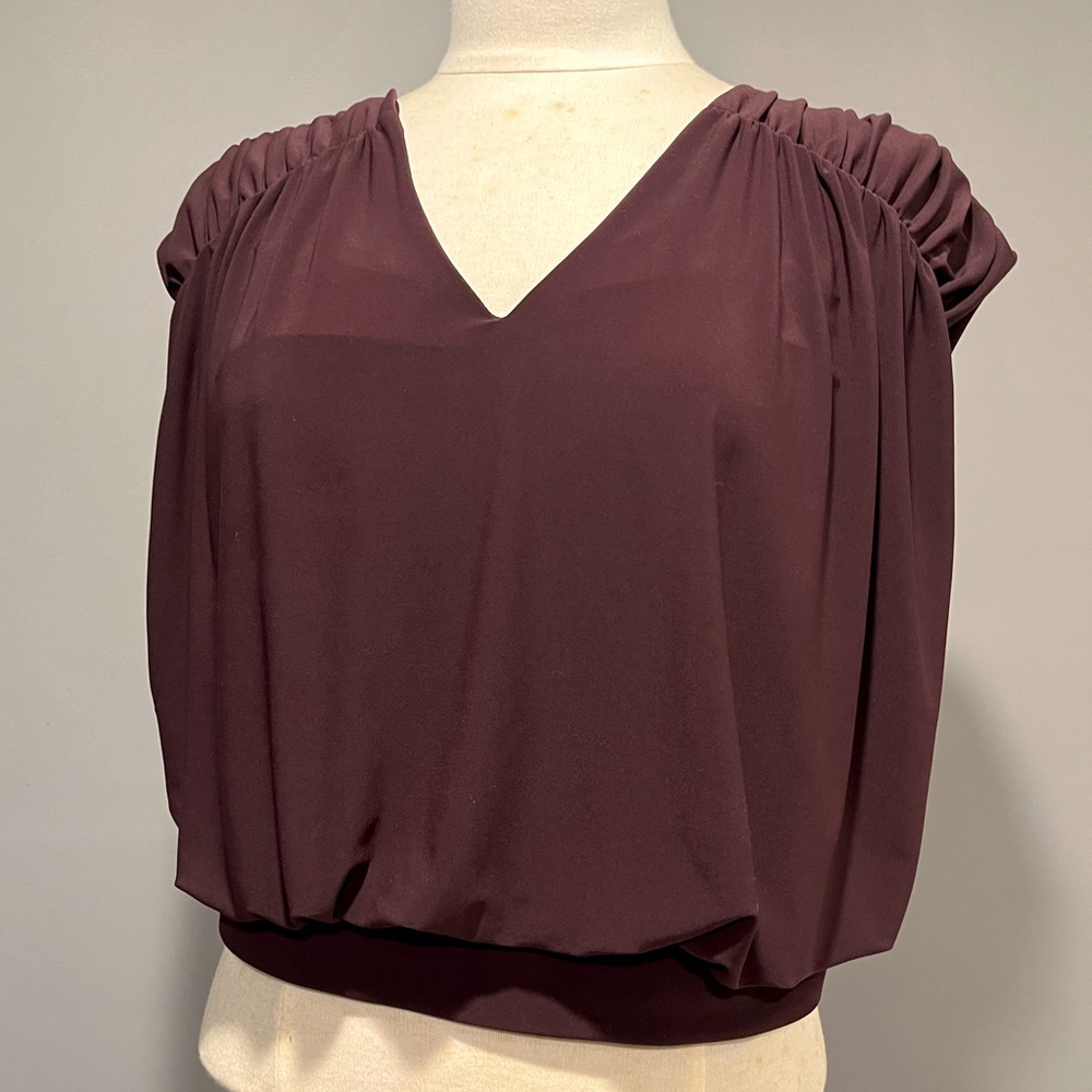 NWT Express Polished Matte Jersey Ruched Banded Bottom Top
